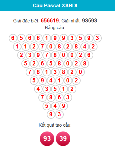 pascal-binh-dinh-ngay-20-11 pascal-binh-dinh-ngay-20-11