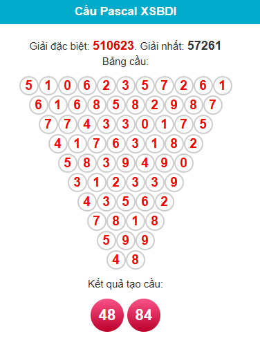 pascal-binh-dinh-ngay-27-11