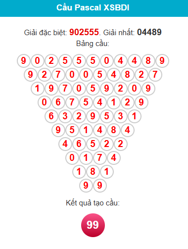 pascal-binh-dinh-ngay-01-01