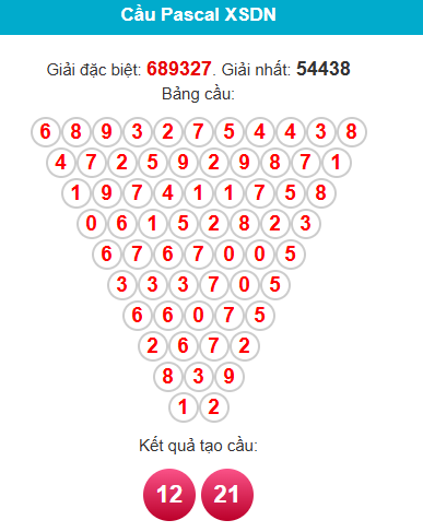 pascal-dong-nai-ngay-31-12