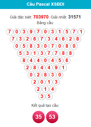 pascal-binh-dinh-ngay-29-1