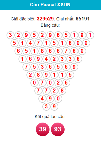 pascal-dong-nai-ngay-14-1