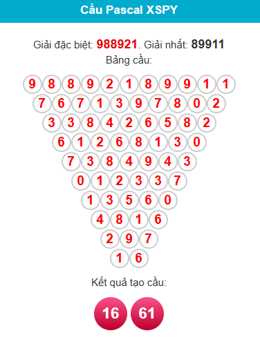 pascal-phu-yen-ngay-26-1 pascal-phu-yen-ngay-26-1