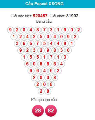 pascal-quang-ngai-ngay-28-2 pascal-quang-ngai-ngay-28-2