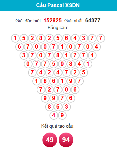 pascal-dong-nai-ngay-18-3