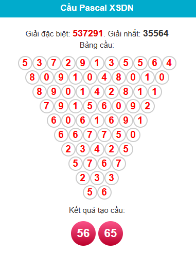 pascal-dong-nai-ngay-6-5