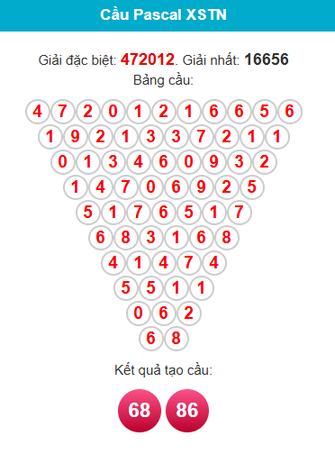 pascal-tay-ninh-ngay-14-5