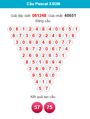 pascal-dong-nai-ngay-15-7