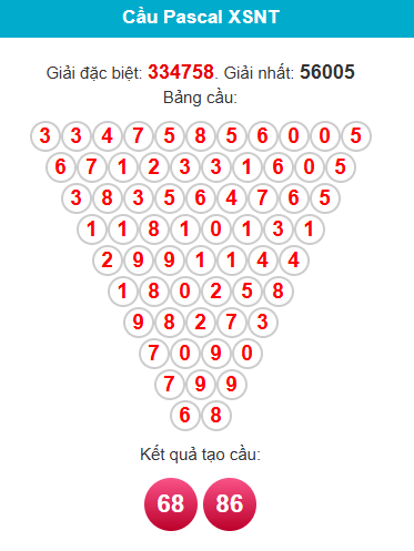 pascal-ninh-thuan-ngay-31-7