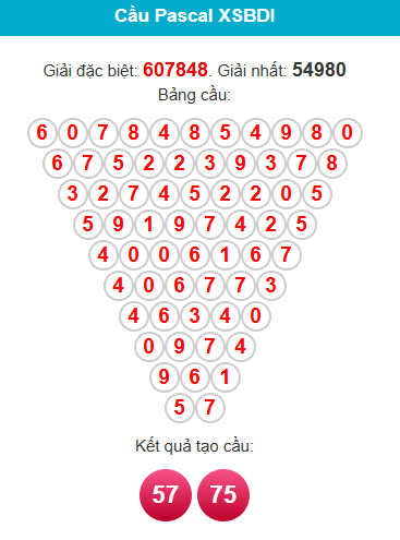 pascal-binh-dinh-ngay-27-8-1