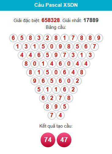 pascal-dong-nai-ngay-12-8