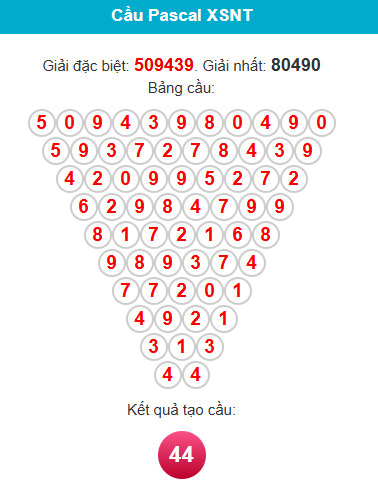 pascal-ninh-thuan-ngay-7-8-1