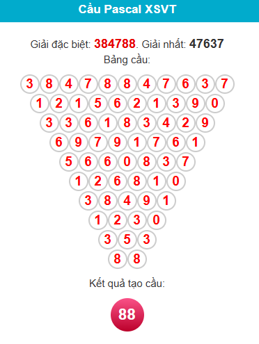 pascal-vung-tau-ngay-11-8-1